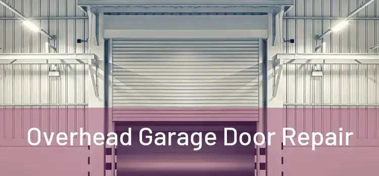  Overhead Garage Door Repair 