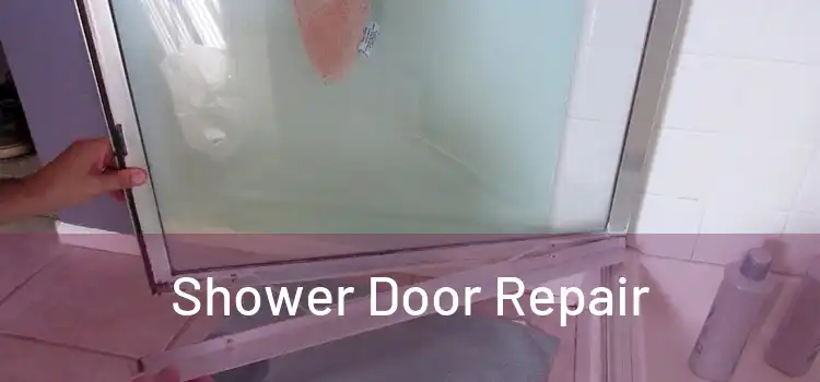  Shower Door Repair 